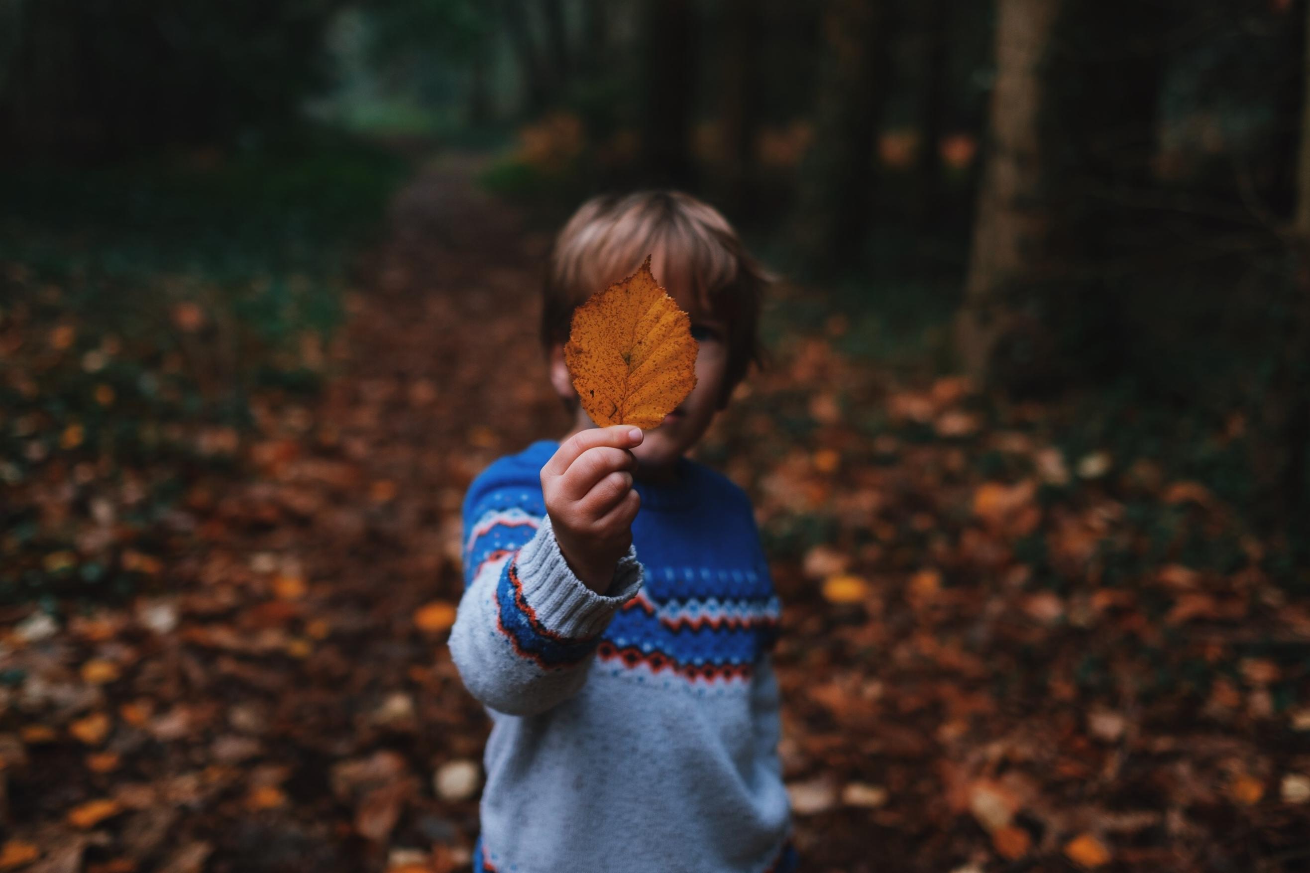 Que faire avec des feuilles d'automne ? - Ça m'intéresse